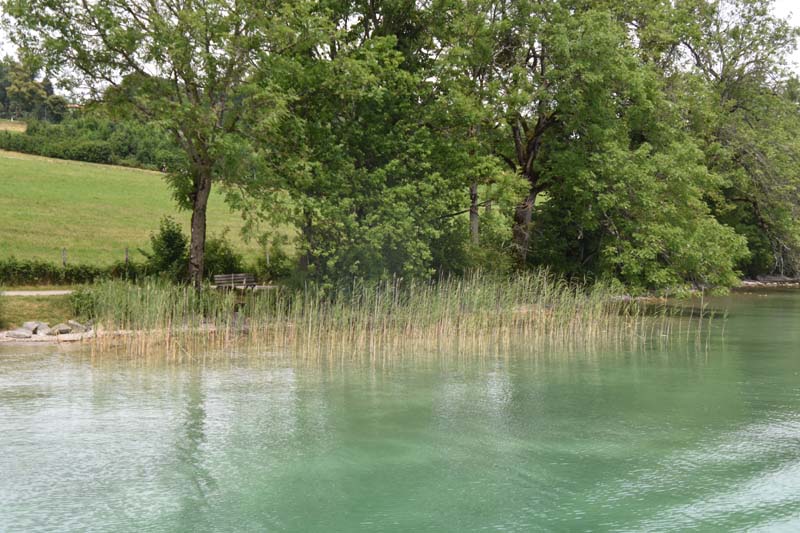 19-07-18_Teg_0050_Ga2_5271